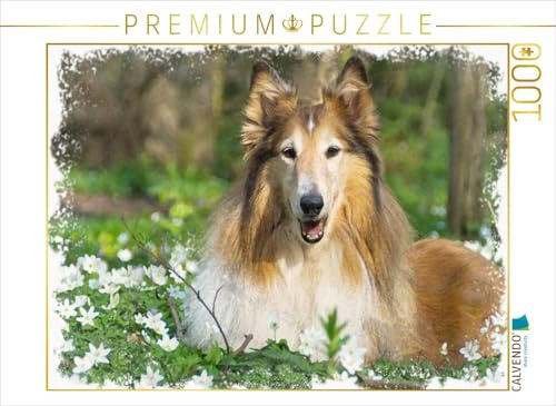 CALVENDO Puzzle Collie | 1000 Teile Lege-Größe 64 x 48 cm Foto-Puzzle für glückliche Stunden