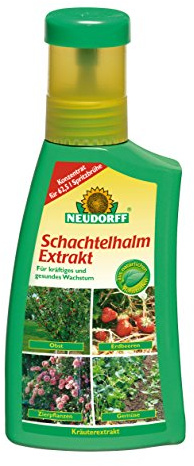 Schachtelhalmextrakt 250 ml