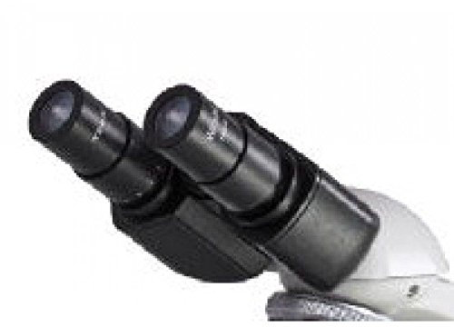 KERN Optics Hochleistungs-Verbundmikroskop, Binokular Tubus, Plan, Weiß/Schwarz, 4x/10x/40x/100x Objektiv, 20 W Halogen, Durchgestrah