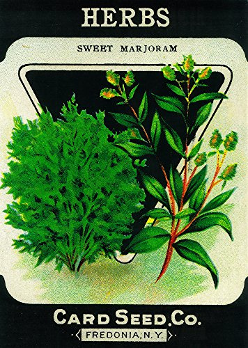 Lantern Press Herbs (sweet marjoram) Seed Packet, 12x18 Inch Art Print, Home Decor