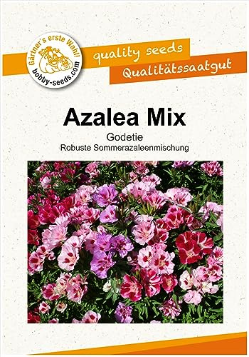 Blumensamen Azalea Mix Godetie Portion