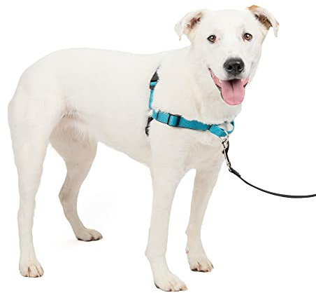 PetSafe Easy Walk Deluxe Dog Harness, No Pull Dog Harness – Perfect for Leash & Harness Training – Stops Pets from Pulling and Choking on Walks – Medium/Large, Ocean