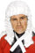 Smiffys Judge's Wig, White , Cops & Robbers Fancy Dress, Adult Dress Up Wigs