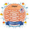 clapur plus Urinal-Sieb (2 Stk.) Mango-Duft - Spritz-Schutz passend für jedes Pissoir und Urinal, gegen Verstopfung von Urinalen, Made in USA, rund, orange