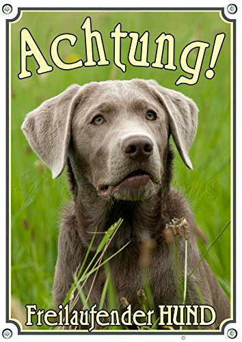 Petsigns Warnschild silberner Labrador - stabiles Metallschild mit Fotodruck-uv beständig, DIN A5