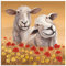 ARTland Wanddeko Wandbild Alu Verbundplatte für Innen & Outdoor Bild 50 x 50 cm Tiere Haustiere Schaf Malerei Creme Schafe A1SG