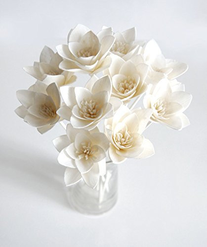 Plawanature - Set di 10 fiori di giglio bianchi da 5,1 cm, con diffusore di bastoncini per fragranze domestiche.