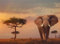 Ravensburger Puzzle 12000392 - Afrikanischer Elefant - 500 Teile Puzzle für Erwachsene und Kinder ab 12 Jahren