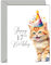 Geburtstagskarte zum 17. Geburtstag für Jungen und Mädchen, Party-Katze, Geburtstagskarte für 17-jährige Jungen, Mädchen, Enkel, Enkelin, Sohn, Tochter, Neffe, Nichte, A5-Grußkarten zum Geburtstag