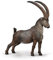 CollectA Alpine Steinbock - handbemalte Bergziege, realistische Tiere und Figuren, Wildtiermodelle, Wildtiergeschenke für Kleinkinder und Kinder, ab ca