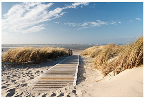 Fensterfolie Sichtschutz Fensterbild Ostsee Strand Aufkleber 72 x 108cm