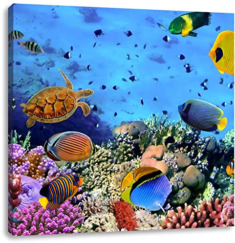 Pixxprint Bunte Fische über Korallenriff, Größe: 40x40, Leinwandbild Quadratisch, Wandbild, Kunstdruck, fertig bespannt