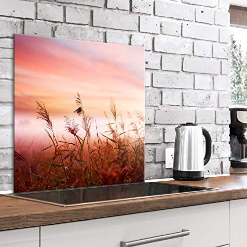 murando Glass Splashback for Kitchen Backsplash Cooker Protector Tempered Glass Decorative Wall Art Panel Heat Resistant Graphic 60x60 cm / 24x24 Nature Landscape Field Meadow b-B-0458-aq-a