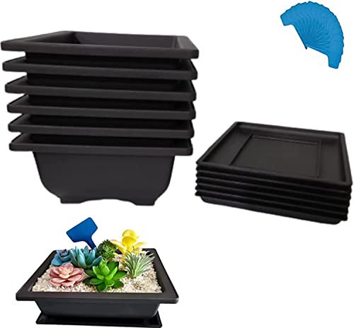6 macetas rectangulares de 6.3 pulgadas con bandejas y 15 etiquetas para plantas, macetas de entrenamiento de bonsáis de plástico para interiores y exteriores pequeñas plantas de plástico, maceta de
