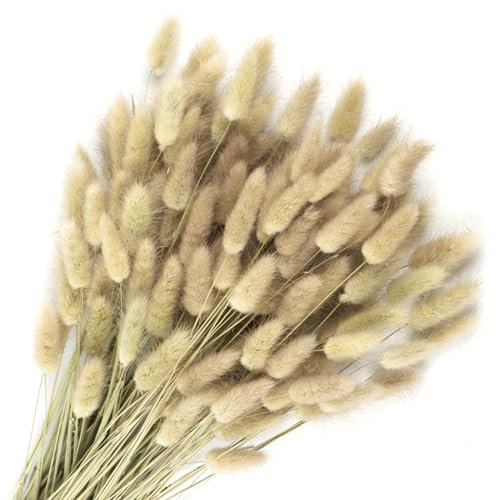 Songjum 120Stück Getrocknete Blumen Hasenschwänze Pampasgras Natürlicher Kaninchenschwanz Getrockneter Blumen Pampasgras Dekor für Wohnkultur Boho Zuhause Dekoration Blumenarrangements(Original Farbe)
