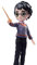 Wizarding World, 20,3 cm große Puppe – 4 zum Sammeln – Harry, Hermine, Ron, Ginny – Kinderspielzeug für Mädchen ab 5 Jahren
