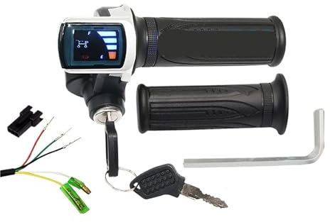 Szwaldaper Elektrofahrzeug mit Lithiumbatterie, elektrisch, for Dreirad 24/36/48, Gasgriff mit Sperre, Ladeanzeige, Geschwindigkeitsregelungsschalter Displaybildschirm für Elektroroller(36V)