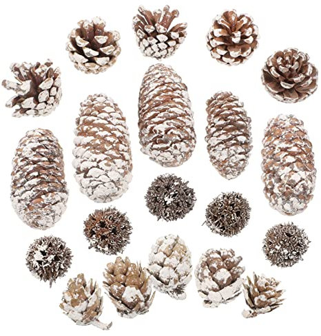 DOITOOL Getrocknete Zapfen in Großpackung Echte Getrocknete Zapfen Für Weihnachtsdeko Bastelmaterial Tischdeko Geschenkaufsatz Dekoration Für Heim Und Party