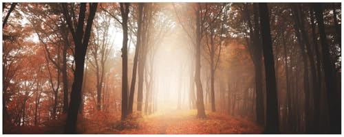 Wallario Memoboard aus Glas mit Motiv, Magnet-Tafel in 32 x 80 cm in Premium Qualität Herbstwald - Weg zu Einer Lichtung im Wald