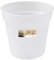 Elho Green Basics orchidée 15cm - Transparent/Transparent