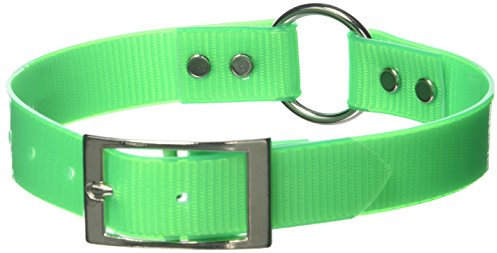 OmniPet Leather Brothers 1 x 21-Inch SunGlo Ring-in-Center Style Dog/Pet Collar, Neon Green