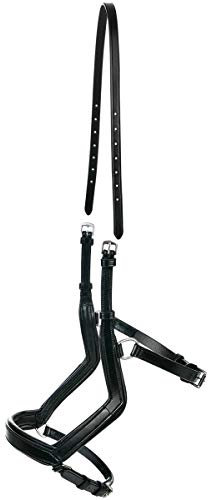 Busse