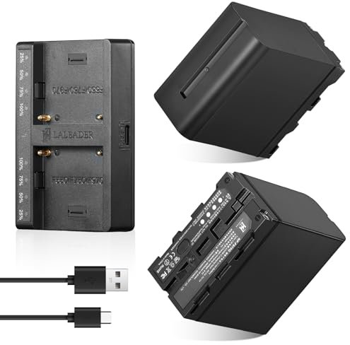 Soonpho 2-Pack Akku NP-F970 Ersatzakku 2 Stück Battery und Dual USB-C Ladegerät für Sony NP-F970 F960 F950 F770 F750 F570 F550 Kompatibel Godox VILTROX Neewer Camcorder/Monitor/Kamera