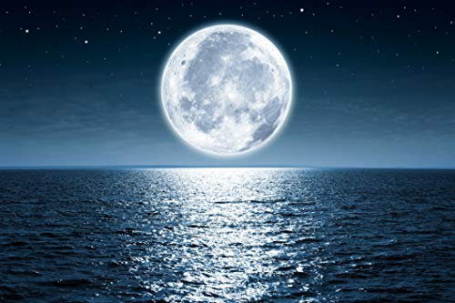 VLIES Fototapete-WELTALL-(PF1336)-Space Weltraum Sci-Fi Galaxie Planeten Orbit Universum Aliens Raumschiff UFO Extraterrest Wandbild Wandtattoo Poster Dekoration