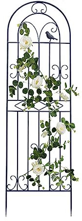 DHGVCED Garten Rankgitter, 180/200/220 cm Hoch, Dekoration, Gewölbter Zaun, Spalier Für Kletterpflanzen, Für Terrasse, Rasen, Hof, Hinterhof, Wandhalterungen(Color:Black,Size:220cm/86.6in)