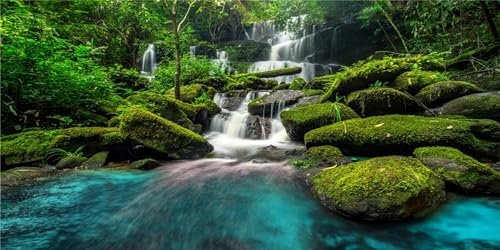 MIRRORANG 180x61cm Wasserfall Terrarium Hintergrund Tropischer Regenwald Aquarium Hintergrund Bergsee Grüner Baum Reptilien Lebensraum Hintergrund Vinyl