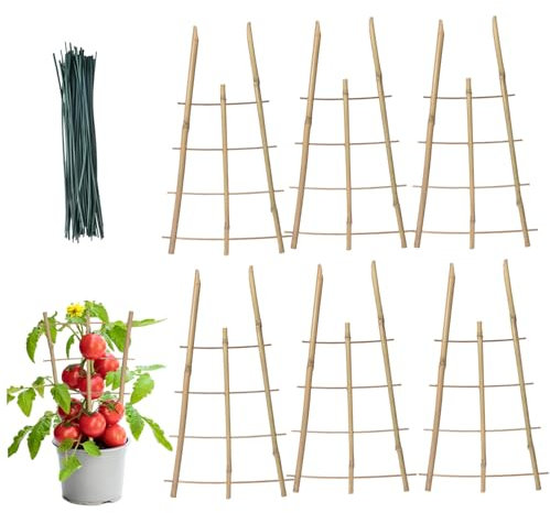 TANGPINGMAO Treillis pour Plantes grimpantes extérieures, 6pcs Treillis de Jardin, Treillis de Plante en Bambou Naturel, Treillis Flexible pour Plantes en Pot, Fournitures de Jardin