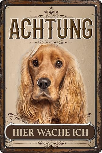 30 x 20 cm wetterfestes Blechschild, Warnhinweis, Torschild, Achtung, hier Wache ich! Warnung vor dem Hund (Cocker Spaniel)