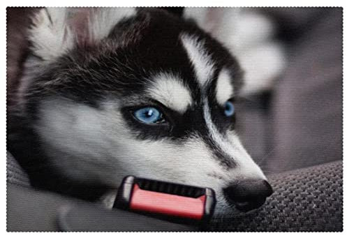 Blue Eye Husky Tischsets für Esstisch, waschbar, rutschfest, für Weihnachten, Urlaub, Geburtstag, Party, Tisch