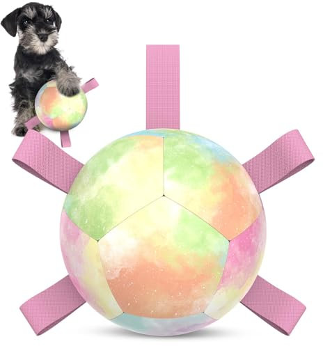 HETOO Hundeball Hundespielzeug Ball mit Griff für Hund Interaktives Schleppen von Krieg Wasser Hundebälle Spielzeug Geburtstagsgeschenk für Kleine/Mittel Hunde (5 Zoll Rosa Farbverlauf)