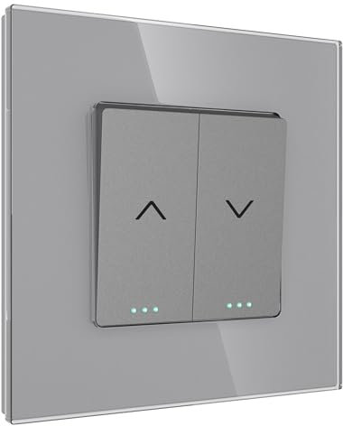 PULSAR Rolladentaster Jalousietaster Unterputz Glas Grau 1 Fach Rollladentaster zur Unterputzmontage Rollo/Rouleau/Jalousette/Fensterschutz Taster