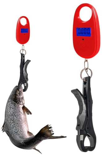 Fiskevåg liten bärbar praktisk kompakt