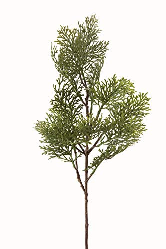 GILDE Zweig Zypresse aus Kunststoff · grün Höhe 60 cm 56412