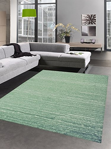 CARPETIA Teppich modern Wohnzimmerteppich Kurzflor Uni grün meliert Größe 80x150 cm