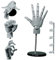 Handmodell, Handmodell 1:1 Gelenkpuppe Hand bewegliches Gelenk 16x8 Zoll Puppenhand mit Sockel DIY PVC ABS Handmodell zum Zeichnen, Malen, Skizzieren, graue Schaufensterpuppenhand Handmodell zum Zeich