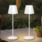 GEPROSMA 2 Pezzi Metallo Lampada da Tavolo Senza Fili Lampada da Comodino Led Ricaricabile Moderni Lampada Scrivania a Batteria,Touch 3 Modes, Luce Portatile per camera da letto,Soggiorno,Esterni