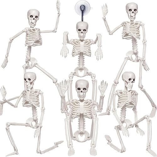 Halloween Skelett, 6er GRUSEL-Set mit Saugnäpfen : 40cm Kleine Skelette mit vollbeweglichen Gelenken-Komplette-Deko aus Kunststoff für Garten, Horror-Haus & Friendhofs-Szenen (Skelett-6er Set 40cm)