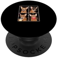 Katzen Fotobox Meme lustiges Abessinier Katze PopSockets Klebender PopGrip