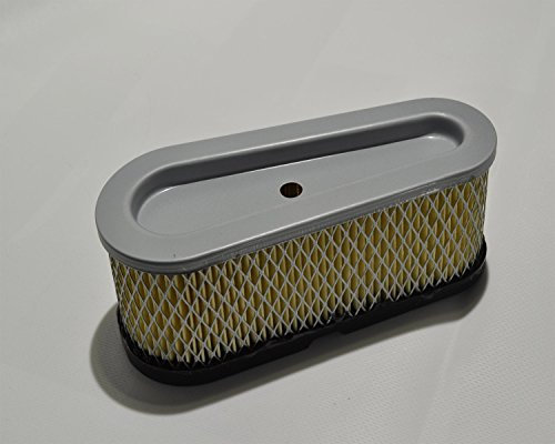 Filtro aria motore Briggs&Stratton - 002964