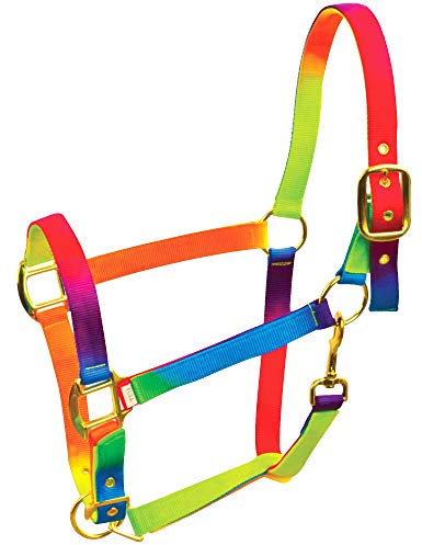 Roma Regenbogen Halfter (Pony) (Bunt)