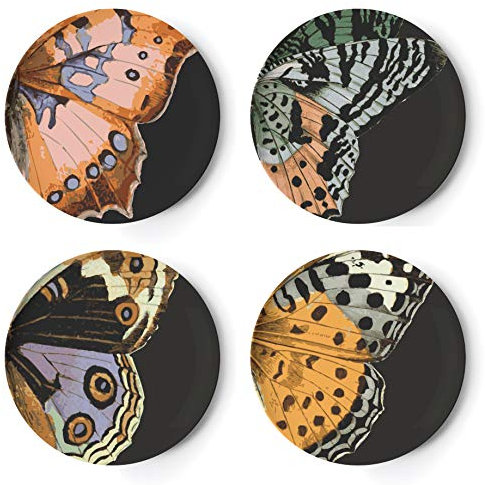 Thomas Paul TP079 Metamorphosis Dinner Plate S/4, Melamine, Multicolor