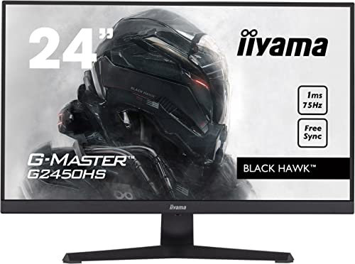iiyama G-Master G2450HS-B1 écran PC 23.8