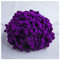 GreatRise Pompon-Borte Bunt Pom Poms Quaste Borte Spitzenband mit 1.2 cm Pompons Bommelborte Pomponband Quaste Trim Band für Basteln Nähen Kleidung Zuhause Dekorieren Dunkelviolett 5 Yard