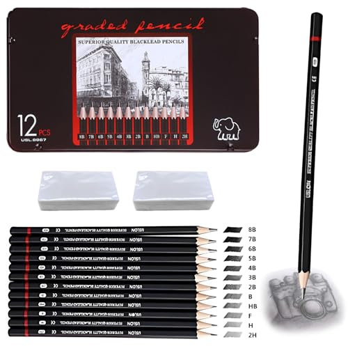 Ormromra 12 Stück Skizzienstifte, Bleistift Set mit 2 Weißer Radiergummi, Zeichenstifte Set (8B 7B 6B 5B 4B 3B 2B B HB F H 2H), Professionelle Bleistifte für Mädchen,Junge,Anfänger, Künstler