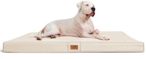 tierlando® Orthopädische Hundematratze Oscar Easy CLEAN aus Kunstleder mit Visco-Schaumfüllung, druckentlastende Hundematte mit Rutschfester Unterseite Größe: 150x100cm | Farbe: 05 Creme