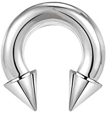 ZS Chirurgenstahl Spike Hufeisen Circular Barbell Ringe, 00G 0G 2G 4G 6G 8G 12G 16G Dick PA Rings, CBR Nasenring Septum Ohr Piercing Körperschmuck (Silber,4G,12mm)